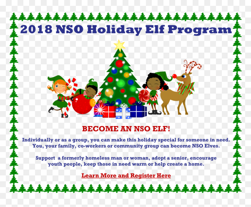 What"s Happening At Nso - Christmas Tree, HD Png Download - homeless man png