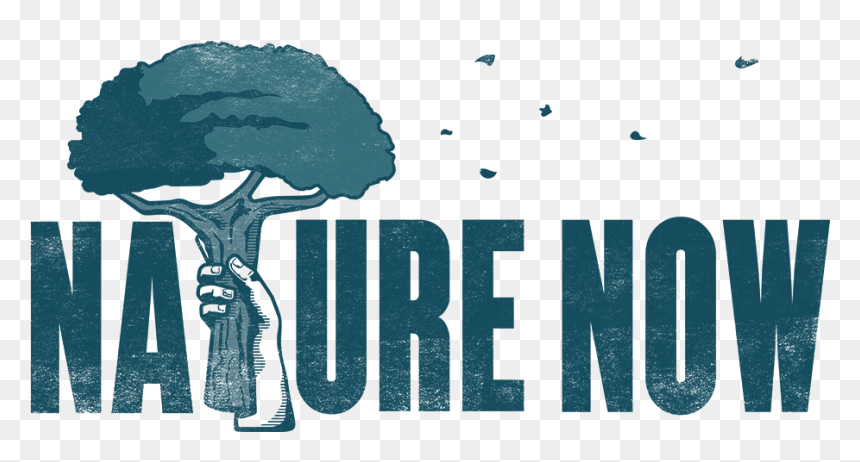 Nature-based Solutions Nexus Hub - Mccain Farms Of The Future, HD Png Download - skyrim special edition logo png