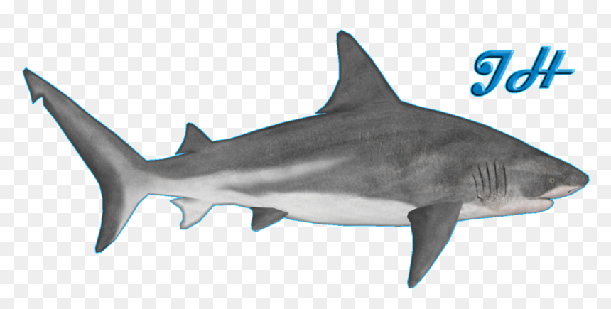 Zoo Tycoon 2 Bull Shark Clipart , Png Download - Zoo Tycoon 2 Bull Shark, Transparent Png - left shark png