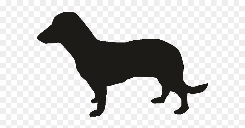 Miniature Dachshund Puppy Vector Graphics Dog Breed - Modern Dog Silhouette Vector, HD Png Download - weiner dog png