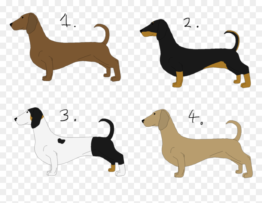 Dachshund Puppy Dog Breed Hound Clip Art - Dachshund, HD Png Download - weiner dog png
