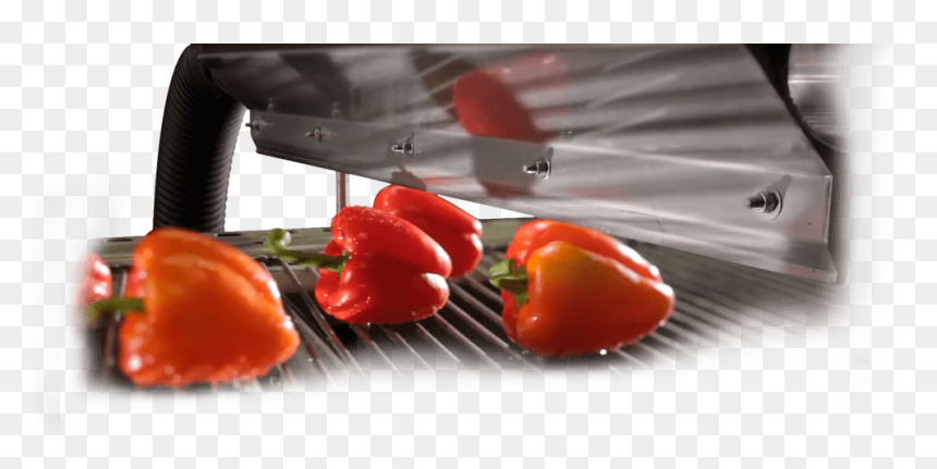 Habanero Chili, HD Png Download - ekko png