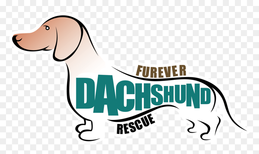 Transparent Weiner Dog Clipart - Scent Hound, HD Png Download - weiner dog png