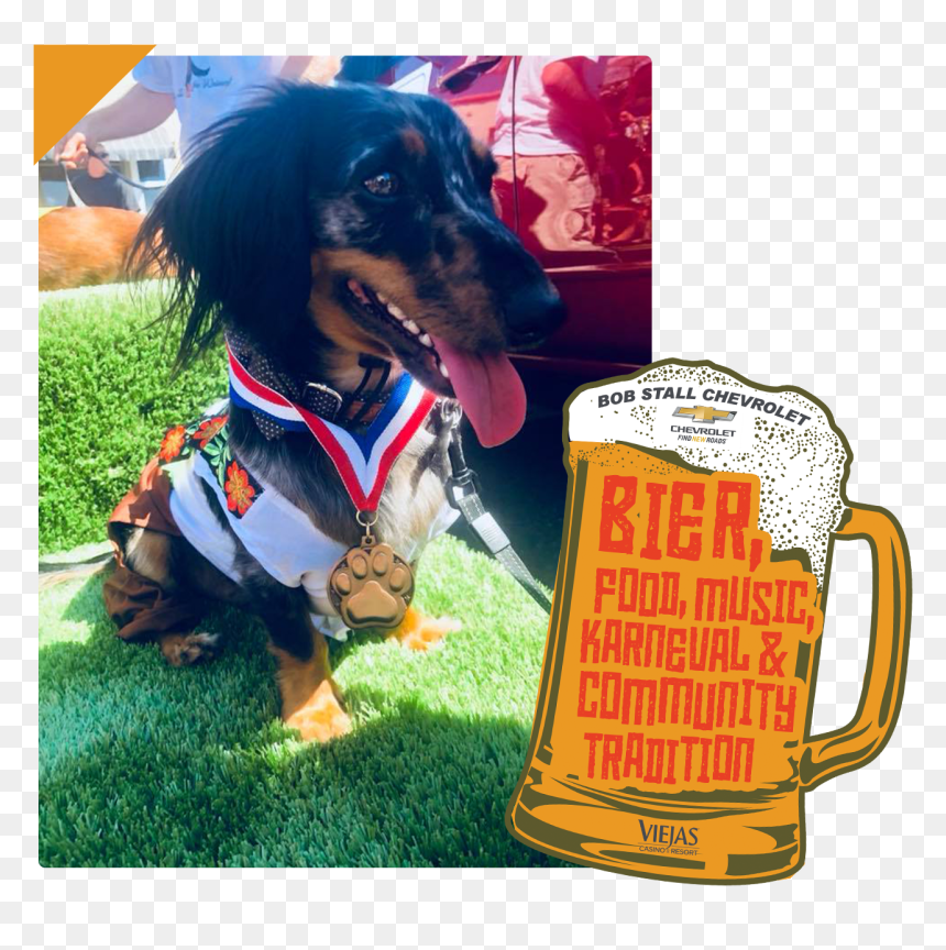 Dachshund, HD Png Download - weiner dog png