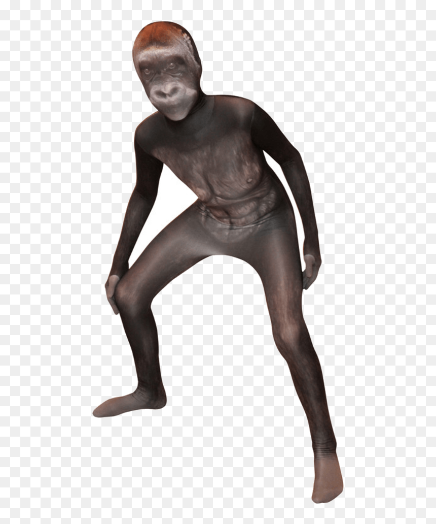 Silverback Gorilla Morphsuit - Bear Morphsuit, HD Png Download - melanie martinez full body png