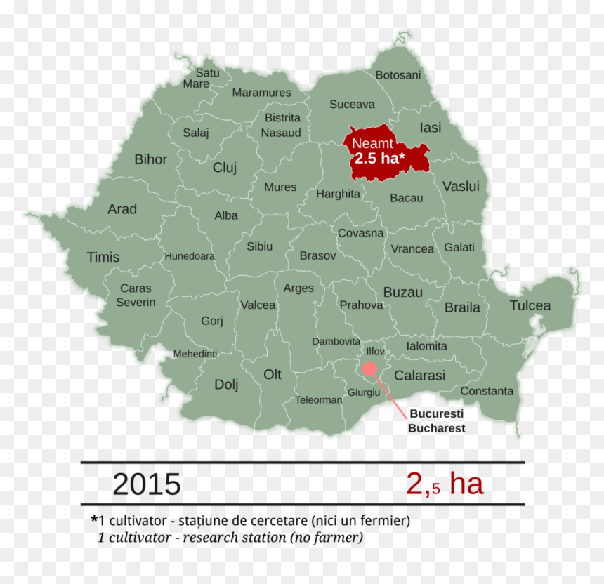 Picture1 - Romania Map And Flag, HD Png Download - monsanto logo png