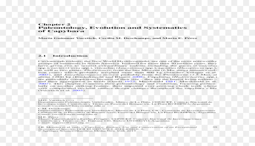 Ley Organica De La Reniec, HD Png Download - flecha blanca png
