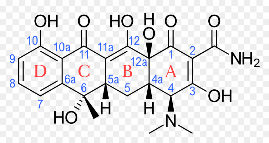 Doxycycline Functional Groups, HD Png Download - antibiotics png