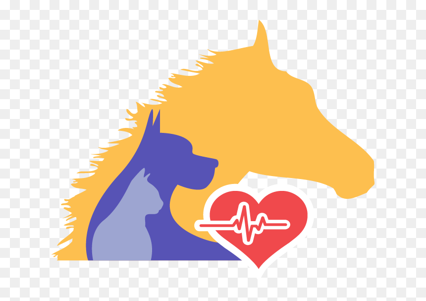 24 Hour Emergency Vet Open Public Holidays Contact - Cat Yawns, HD Png Download - open 24 hours png