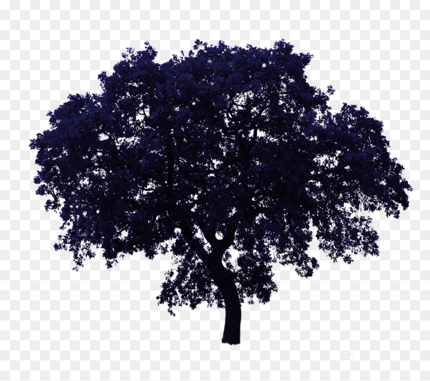 Tree Png Transparent, Png Download - christmas overlay png