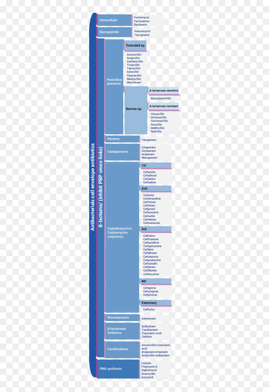 Cell Wall Synthesis - Antibiotic Classification, HD Png Download - antibiotics png