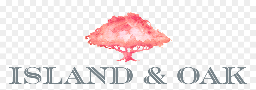 Island And Oak - Conch, HD Png Download - cara triste png