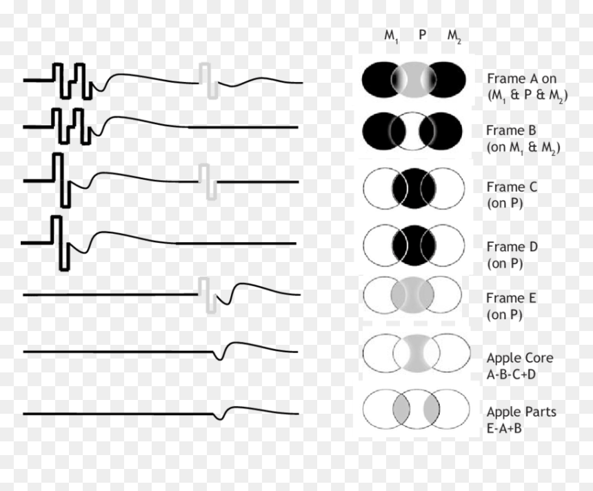 Drawing, HD Png Download - apple core png