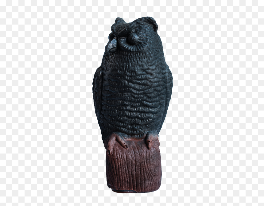 Owl, HD Png Download - buho png