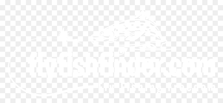 Trout, HD Png Download - fly fishing png
