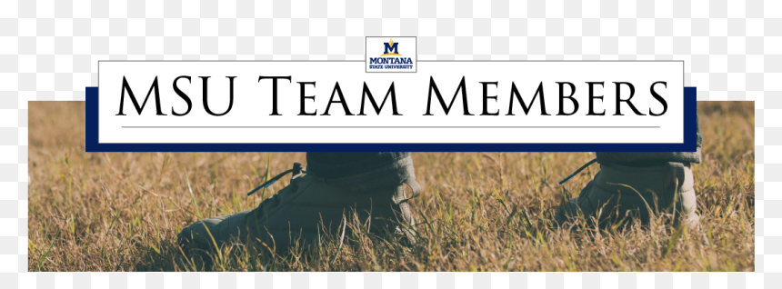 Msu Team Members - Grass, HD Png Download - montañas png