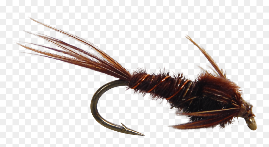 Artificial Fly Pheasant Tail Nymph Fly Fishing Fly - Artificial Fly, HD Png Download - fly fishing png