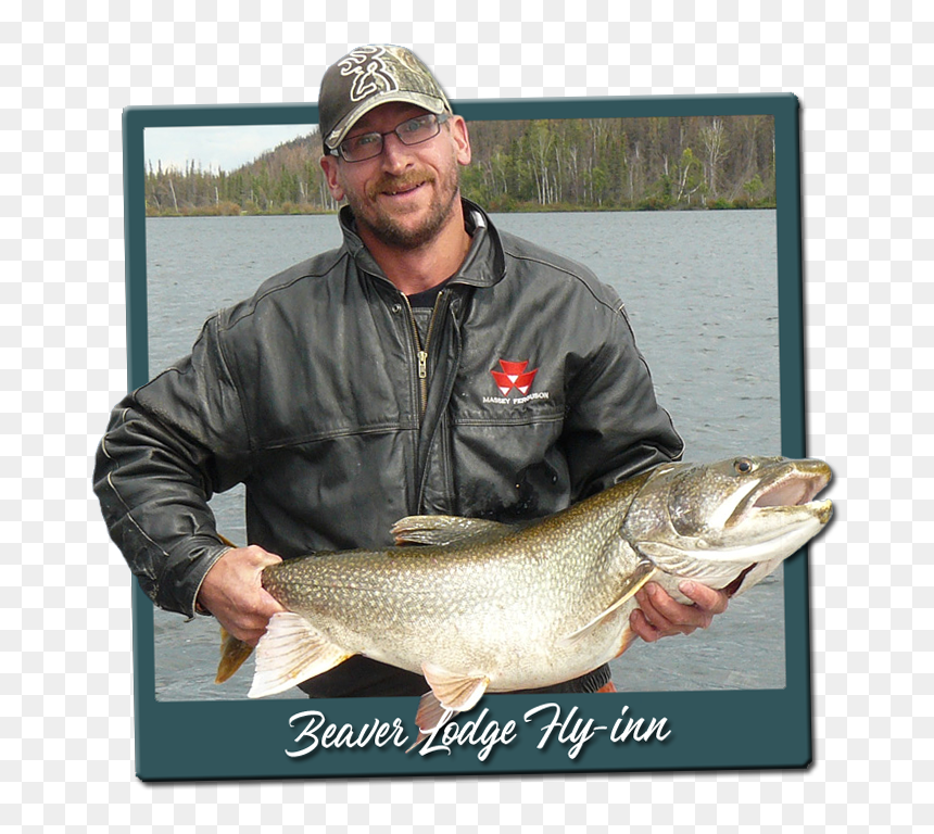 Pull Fish Out Of Water, HD Png Download - fly fishing png