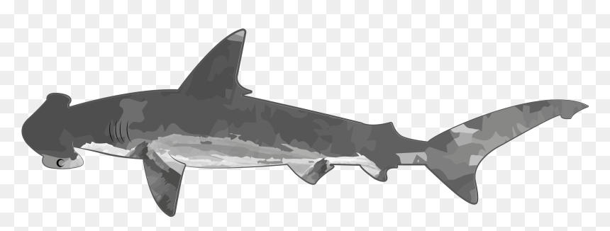 Requiem Shark, HD Png Download - shark head png