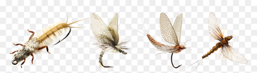 Son Match"n Catch - J Son Short Shank, HD Png Download - fly fishing png