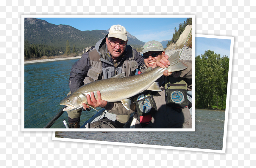 Guided Fly Fishing Trip - Pull Fish Out Of Water, HD Png Download - fly fishing png