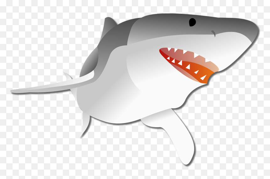 Background Racing Kartun Png, Transparent Png - shark head png