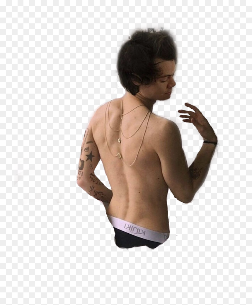 Transparent Harry Styles Full Body Png - Harry Styles Sexy Png, Png Download - sexy man png