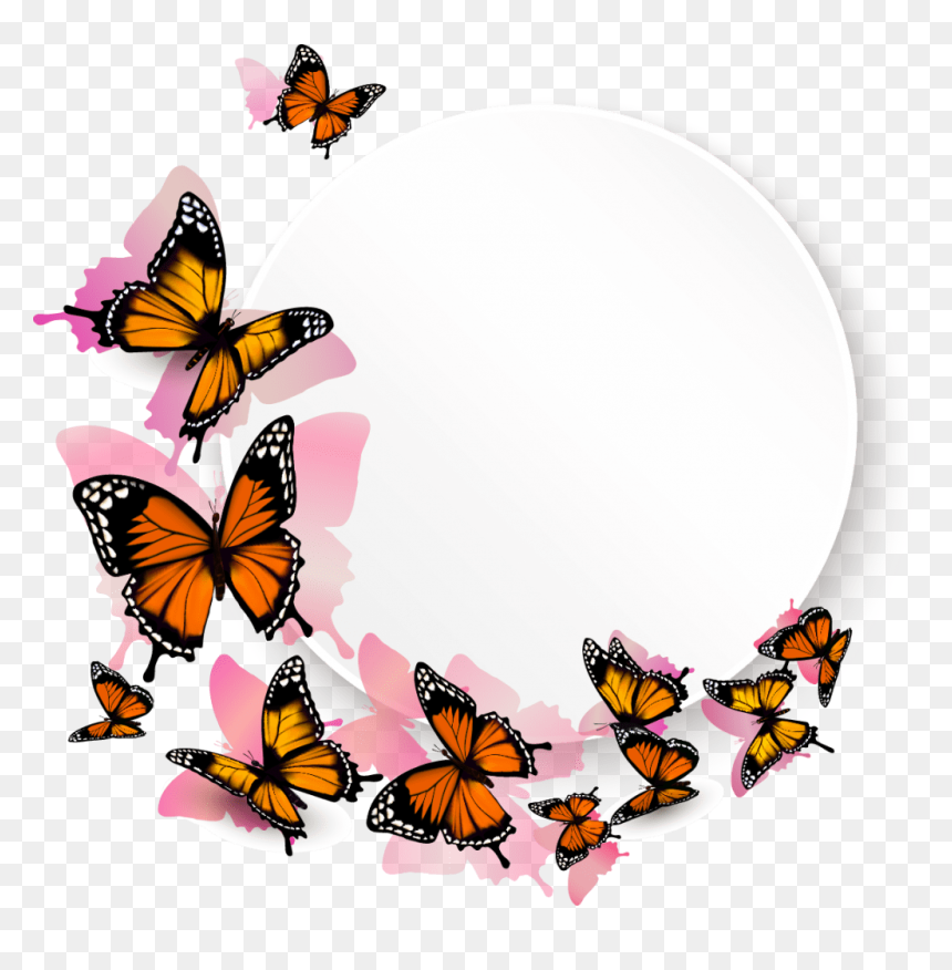 Transparent Background Monarch Butterfly Clipart, HD Png Download - butterfly border png