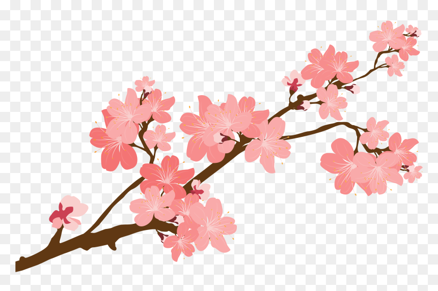 Transparent Cherry Blossom Clipart, HD Png Download - japanese tree png