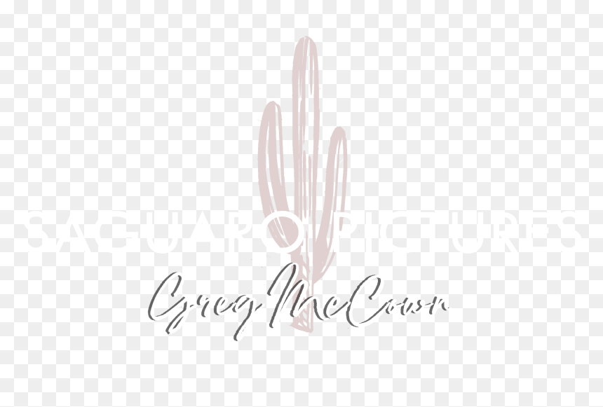 Calligraphy, HD Png Download - saguaro png