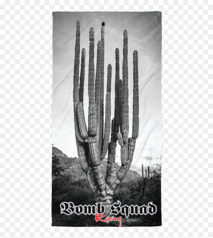San Pedro Cactus, HD Png Download - saguaro png