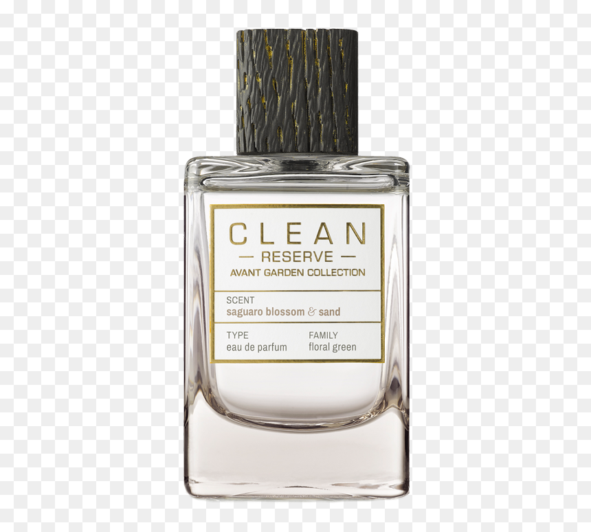 Clean Fragrances, HD Png Download - saguaro png