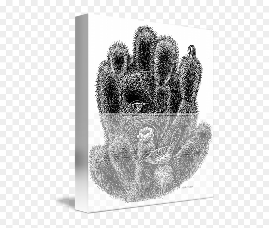 Barbary Fig, HD Png Download - saguaro png