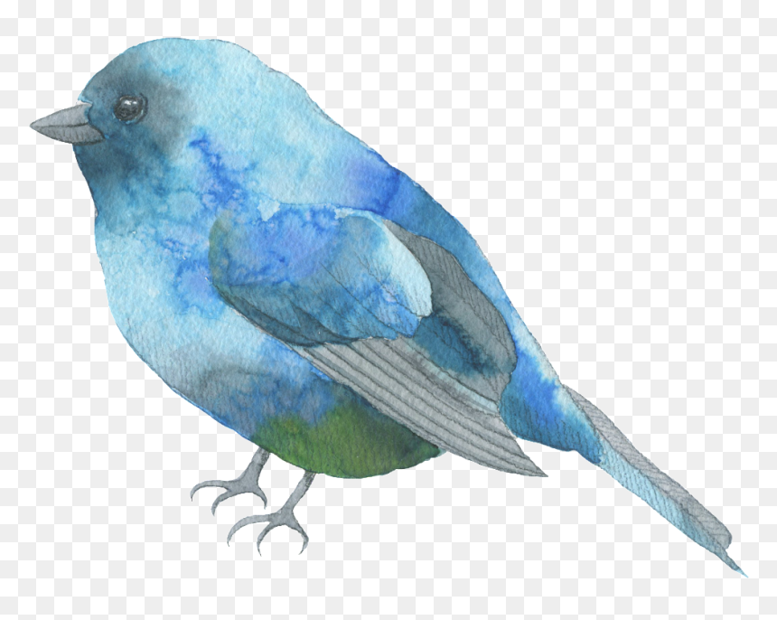Blue Bird Watercolor Png, Transparent Png - blue feather png
