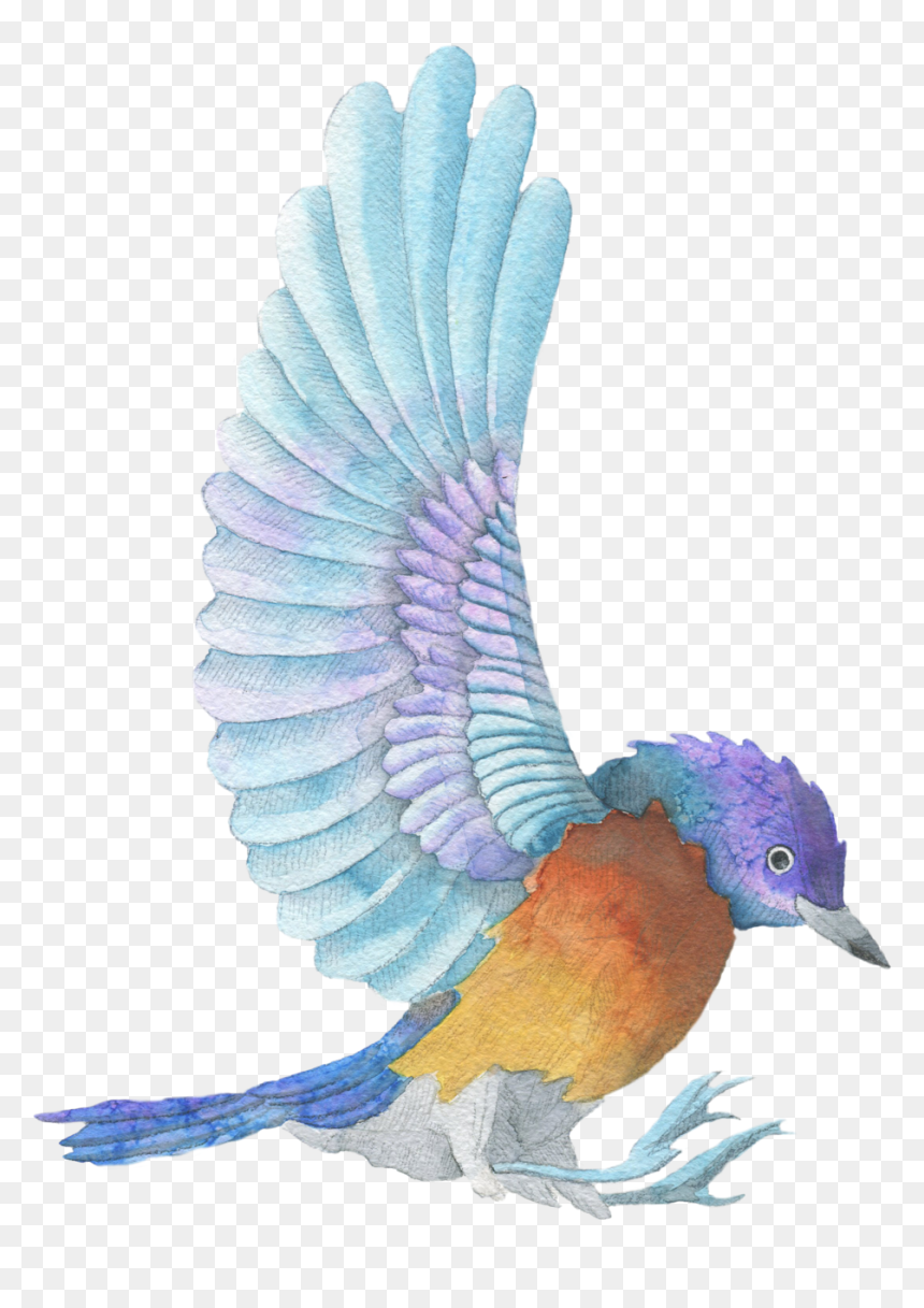 Watercolor Painting, HD Png Download - blue feather png