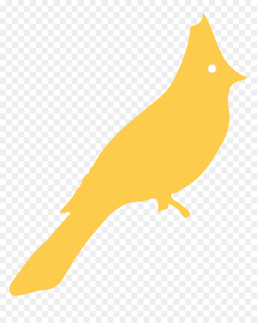 Blue Feather Png, Transparent Png - blue feather png
