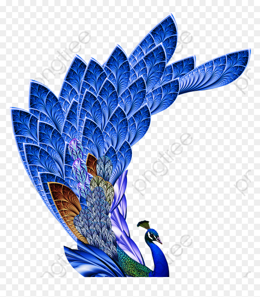 Happy Krishna Janmashtami Wishes, HD Png Download - blue feather png