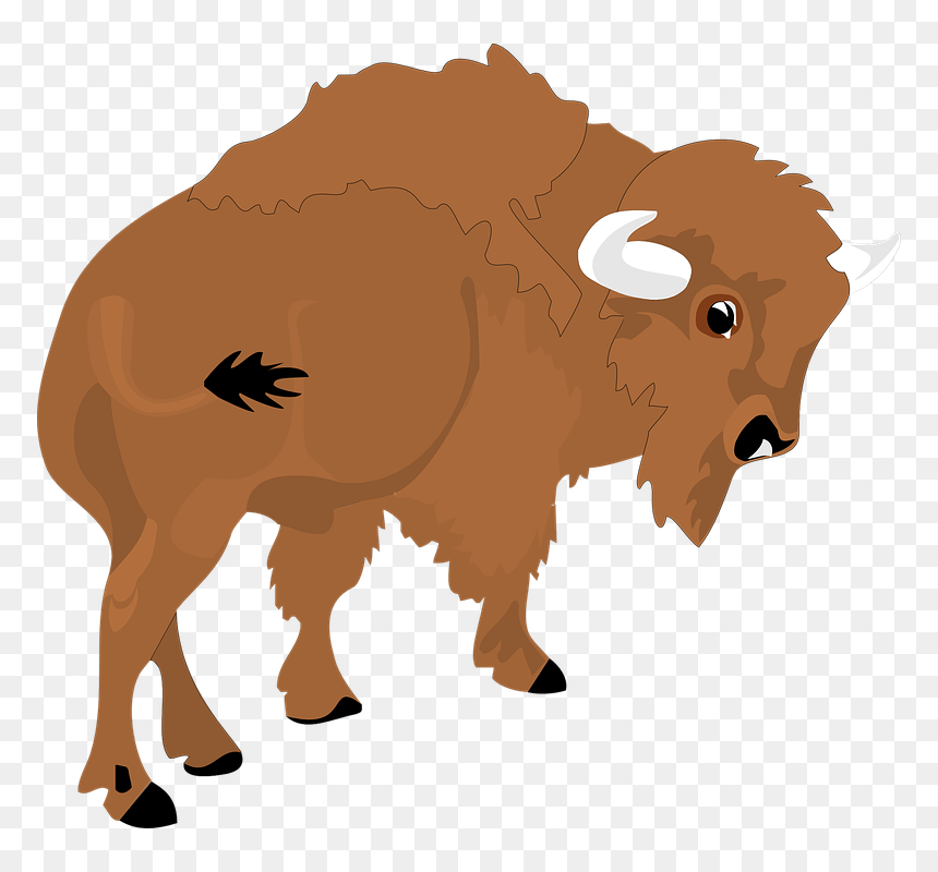 Bison Clipart Png, Transparent Png - m bison png