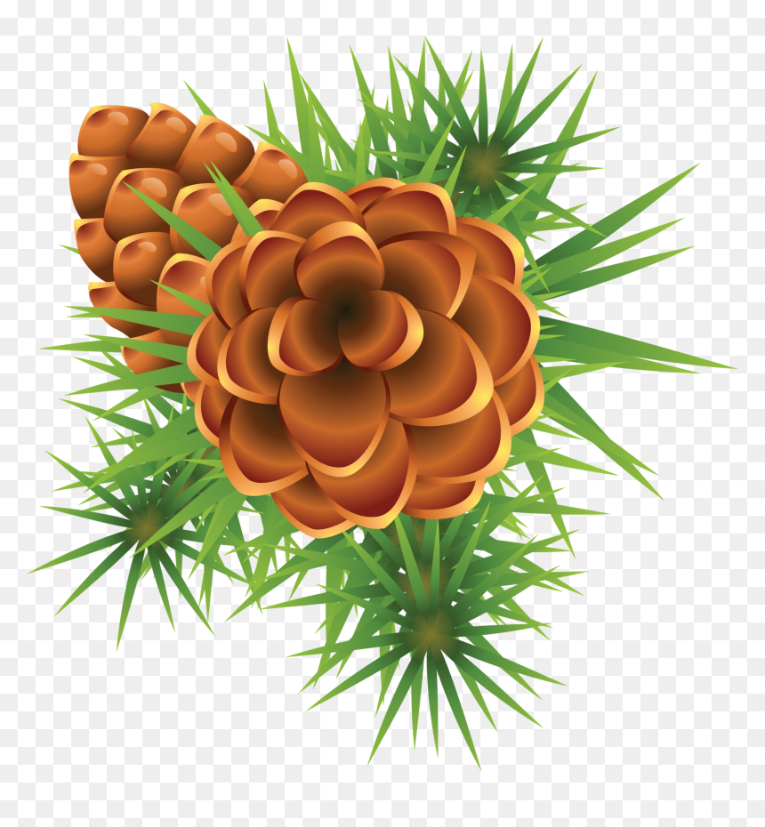 Christmas Mistletoe, HD Png Download - spruce tree png