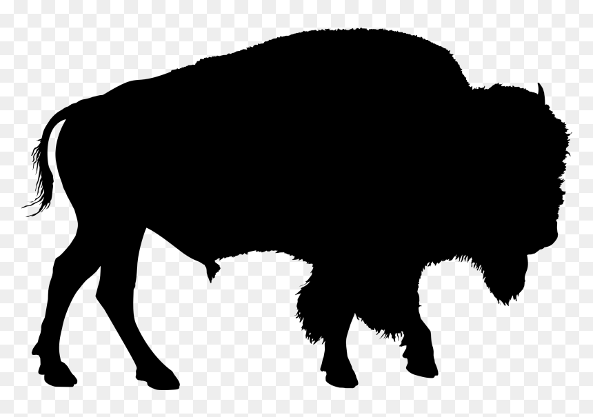 Bison Silhouette, HD Png Download - m bison png