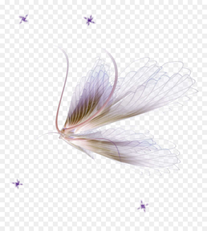 Saffron Crocus, HD Png Download - fairy wing png