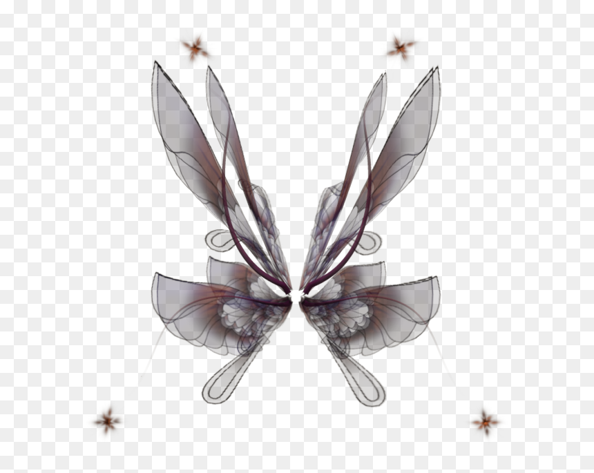 Membrane-winged Insect, HD Png Download - fairy wing png