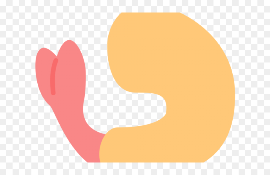 Clip Art, HD Png Download - fried shrimp png