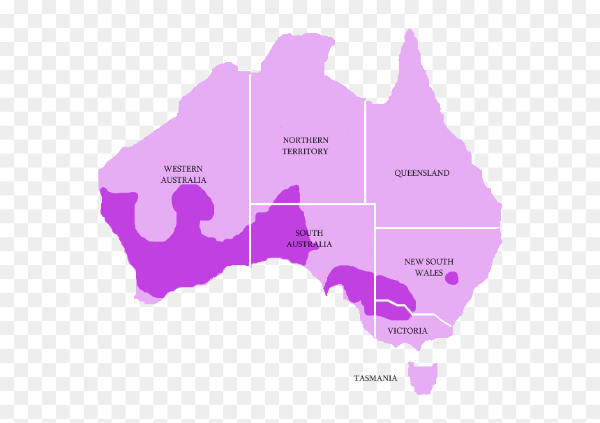 Blue Tongue Lizard Found, HD Png Download - lizard tongue png