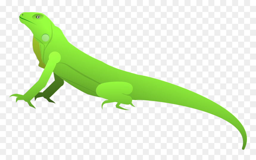 Carolina Anole, HD Png Download - lizard tongue png