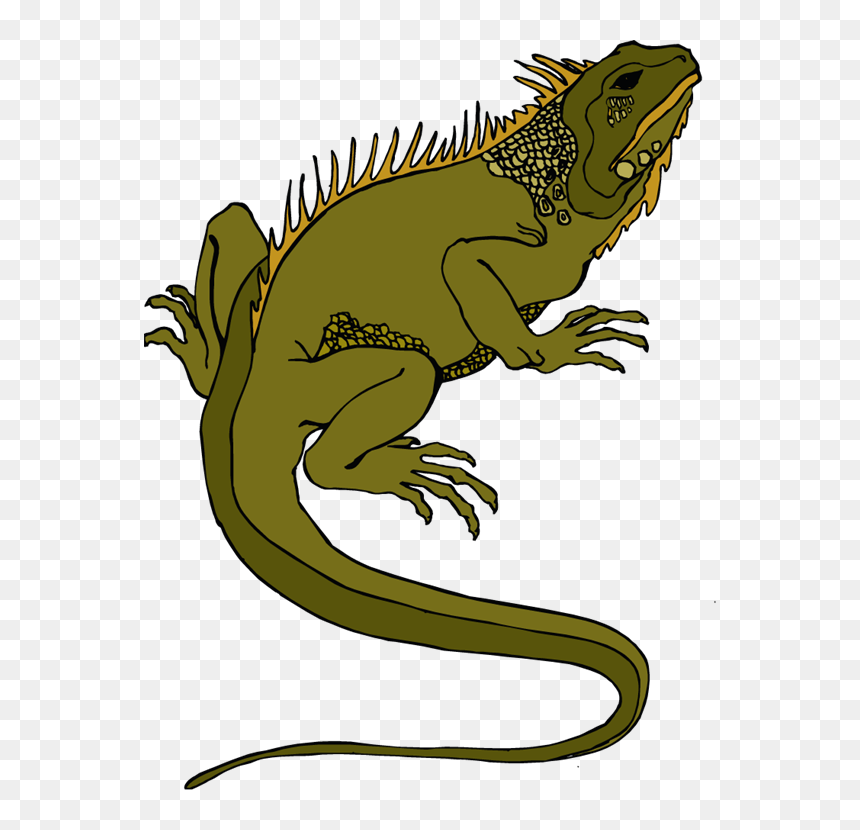 Lizard Clip Art Free, HD Png Download - lizard tongue png