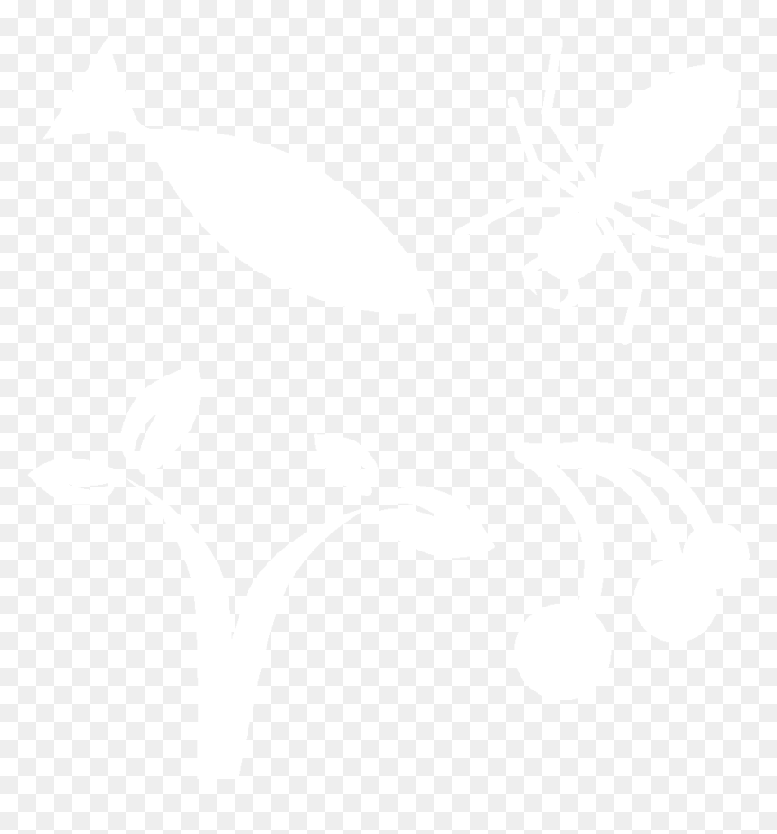 Illustration, HD Png Download - wild turkey png