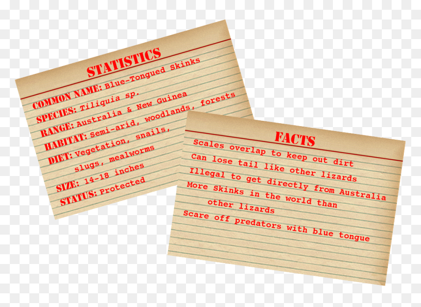 Facts About American Alligators, HD Png Download - lizard tongue png