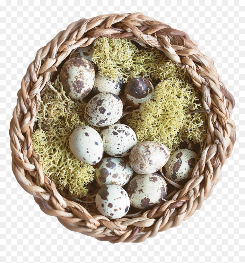 Portable Network Graphics, HD Png Download - easter egg basket png