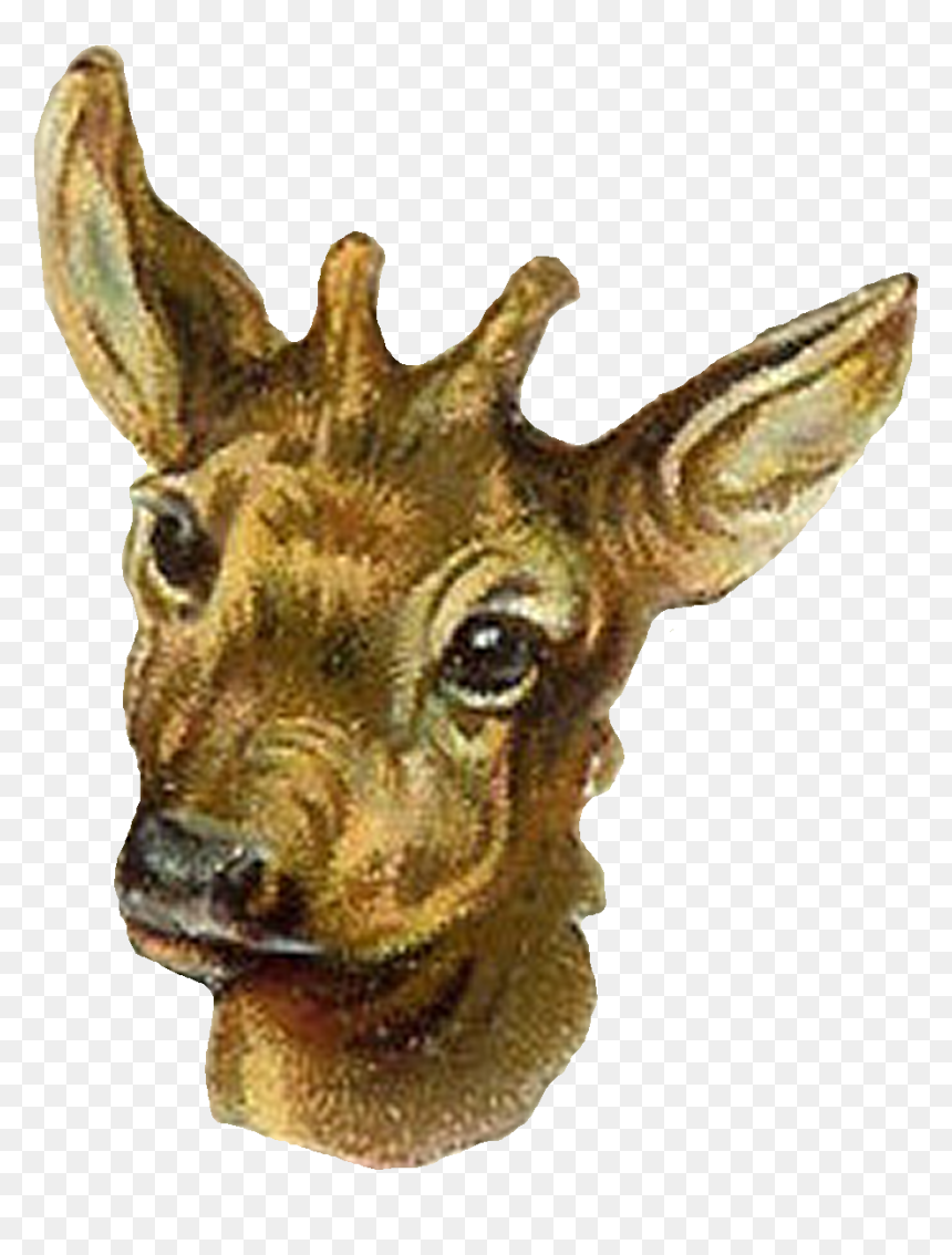 Antelope Stock Image Clip Art - Clip Art, HD Png Download - antelope png